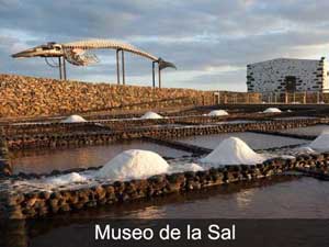 Red de Museos 01