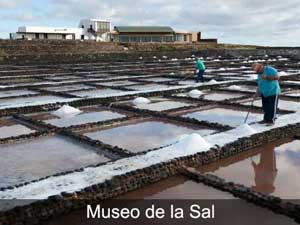 Red de Museos 02